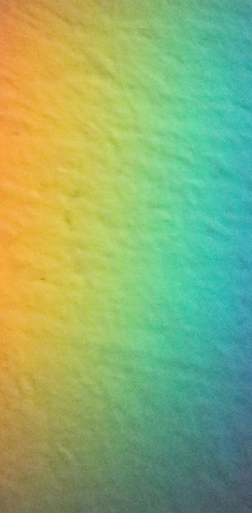 Jaarthema - 2024-2025 - Kleur