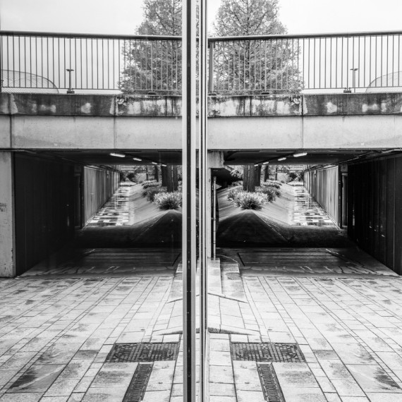 Dirkjan Kok - Winnaar