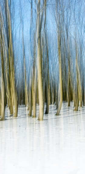 Februari 2023 - Intentional Camera Movement