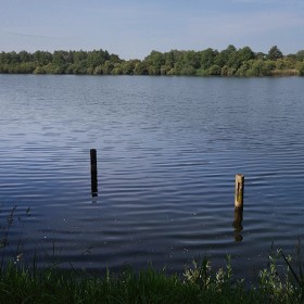 Juni 2025 - Groen uurtje