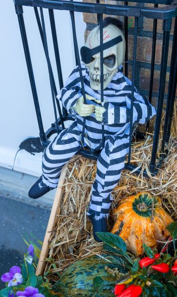 fotolinie a fotoketting