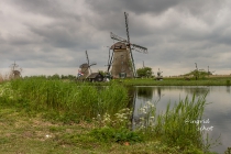 Mei 2017 - Hollands Landschap